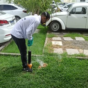 Dedetização Linhares, São Mateus e região - Valentim dedetizadora