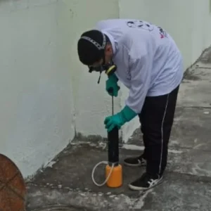 Dedetização Linhares, São Mateus e região - Valentim dedetizadora